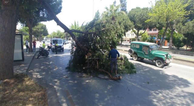 Aydın'da faciadan dönüldü