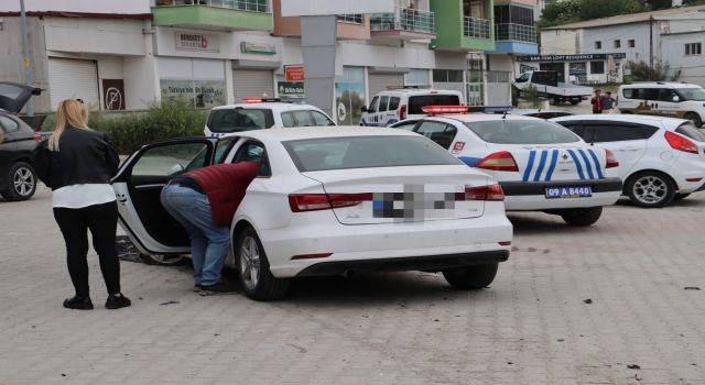 Otomobile giren böcek kaza yaptırdı