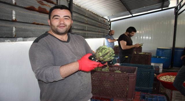 Yeşil Elmas ayda 30 bin kazandırıyor