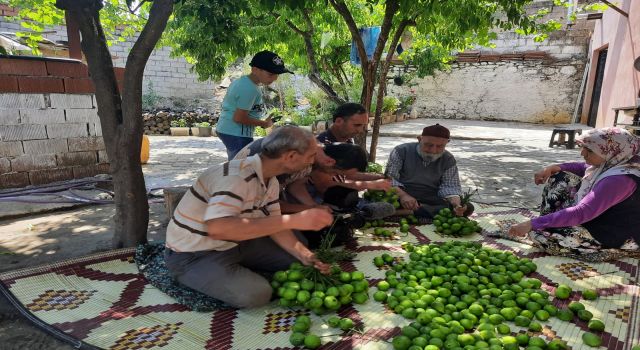 Aydın'da ilek mesaisi başladı