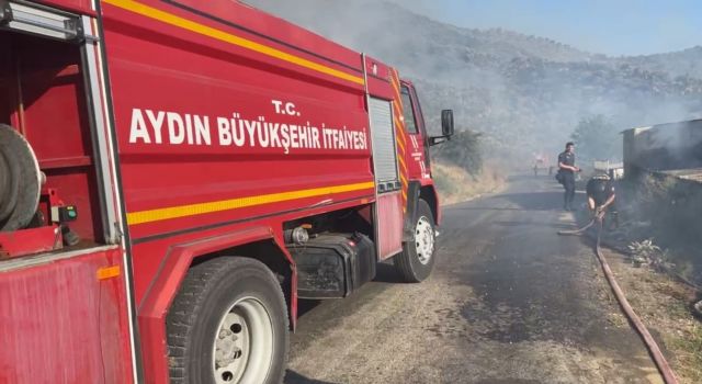 Buğday tarlasında çıkan yangın korkuttu