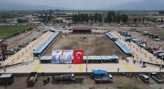 Nazilli 2. Geleneksel Boğa Güreşi Festivali yapıldı