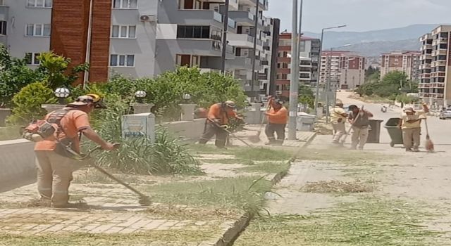 Nazilli’de köşe bucak temizlik seferberliği 