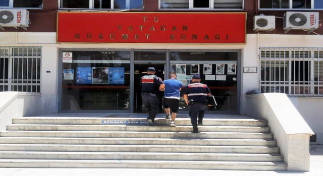 Ormanı yakarken yakalandı, tutuklandı