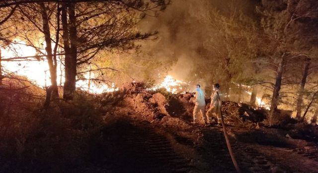 Datça'daki orman yangınında çalışmalar gece de devam ediyor