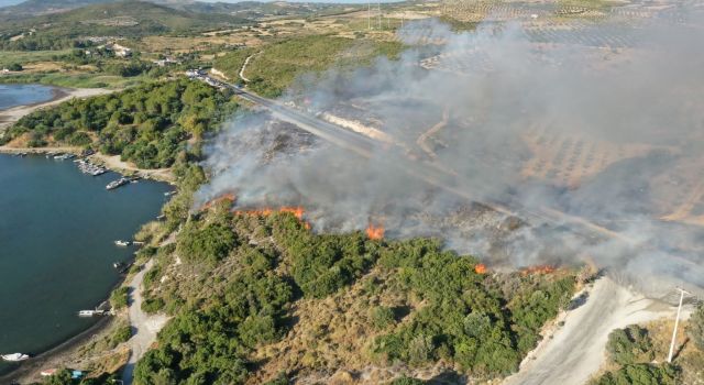 Didim'de orman yangını korkuttu