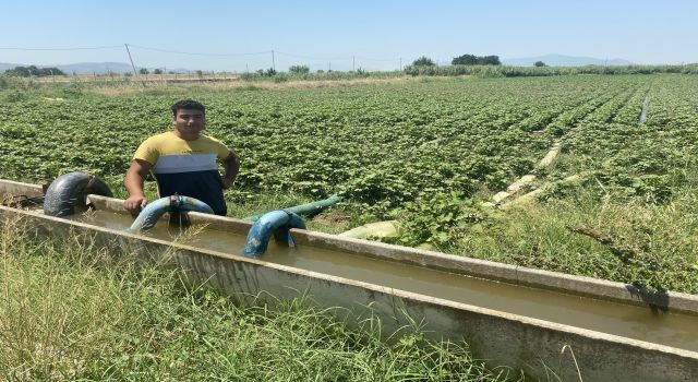 Geçen yıl kuraklık nedeniyle su sıkıntısı çeken çiftçilerin bu sene yüzü gülüyor