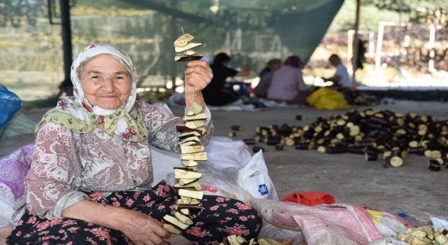 Nazilli’den dünyaya doğal lezzet: Kurutulmuş patlıcan