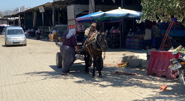 Acarlar'da at arabacılarının zorlu yaşam mücadelesi 