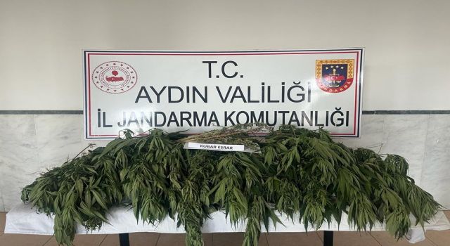 Aydın'da uyuşturucu ile mücadelede bir haftada 7 kişi tutuklandı