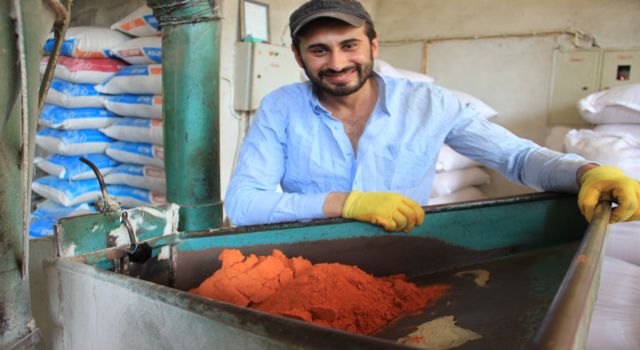 Değirmencilik yeniden gözde meslek oldu