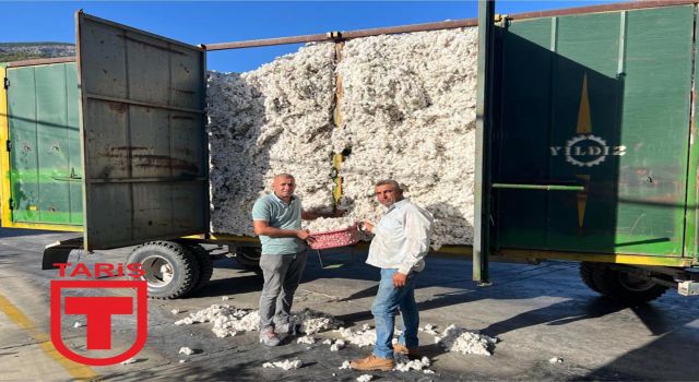 Söke TARİŞ Pamuk Kooperatifi pamuk alımına başladı