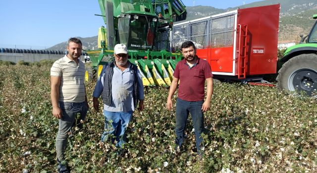 Söke’de 'beyaz altın' hasadı başladı