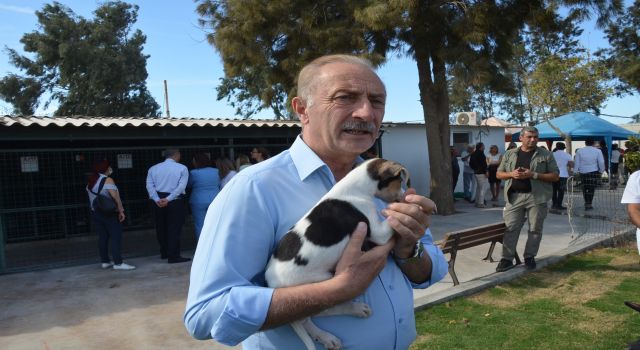 Didim Belediyesi'nden sokak hayvanlarına yönelik yeni bir adım atıldı