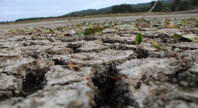 Ege, son 20 yılın en kurak sezonunu yaşıyor