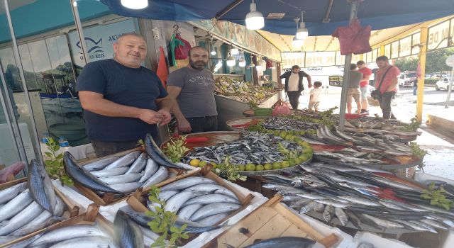 Karadeniz’deki palamut bolluğu Aydın’a yansıdı