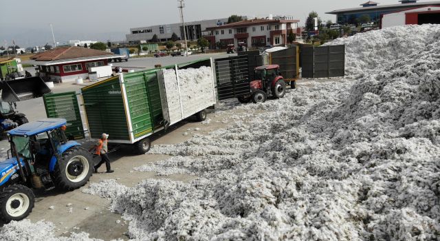 TARİŞ’e rağbet arttı, depolar 10 bin 200 ton pamukla doldu