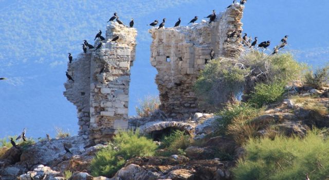 Binlerce yıllık geçmişi olan Aydın, tarihe ev sahipliği yapıyor 