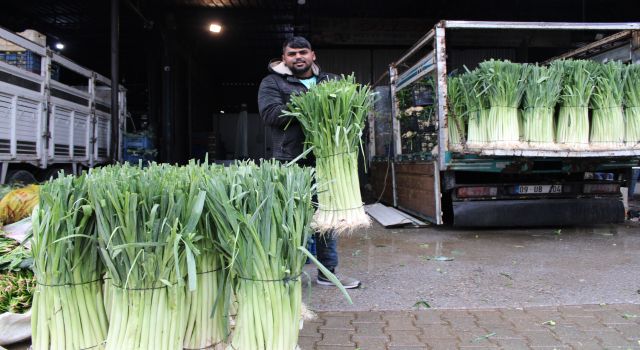 Gripsavar olarak bilinen pırasaya rağbet arttı