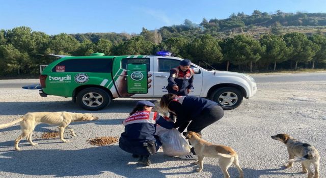 Aydın jandarması yürekleri ısıttı