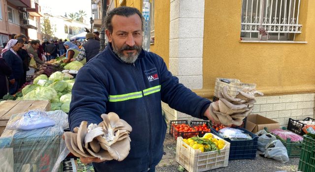 Kırmızı etin alternatifi kapış kapış gidiyor 