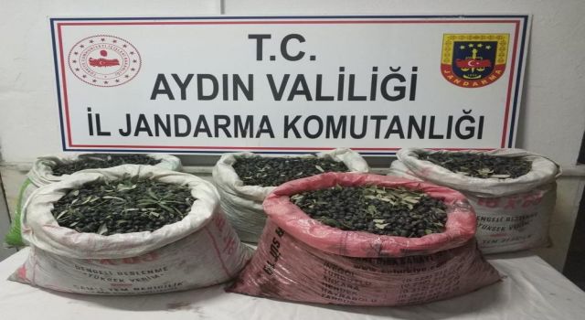 Çaldılar, yağ yapıp sattılar