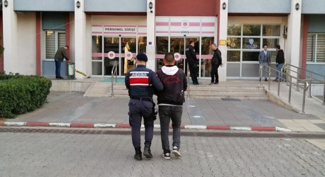 75 bin dolar para çaldı, jandarmaya yakalandı 