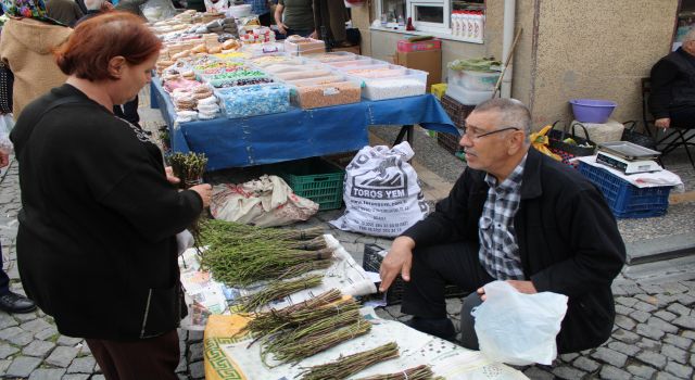 Aydın’ın acı otu, fiyatına rağmen kapış kapış gidiyor 