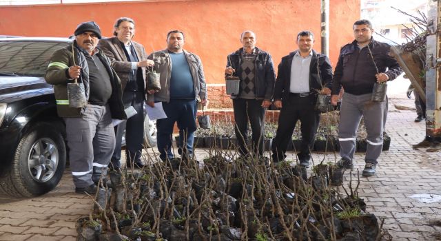 BAŞKAN ÖZCAN’IN ÜRETİCİLERE DESTEĞİ SÜRÜYOR