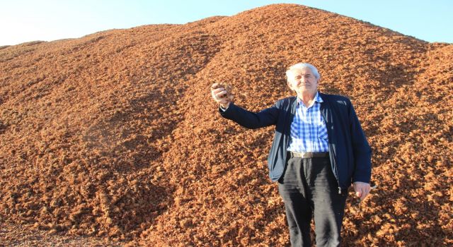 Kömür fiyatları arttı, çam fıstığı kabukları kıymete bindi