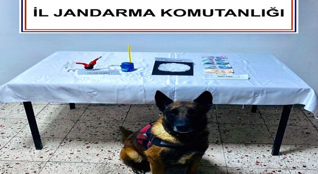 Narkotik köpek ‘Kont’ destekli uyuşturucu operasyonu