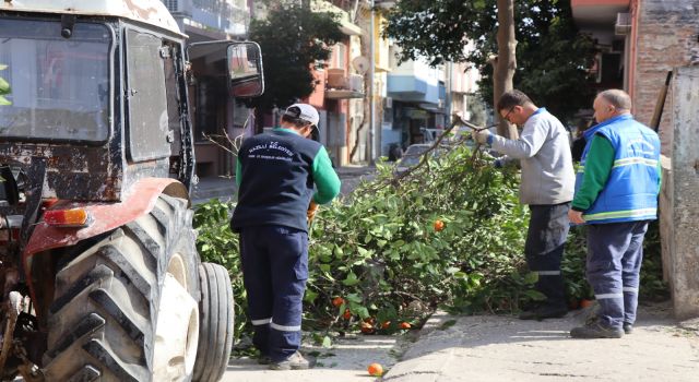 Nazilli'de bahar temizliği başladı