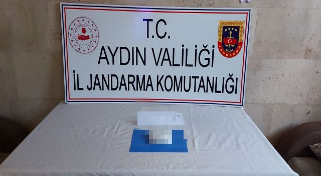 Uyuşturucu tacirine narkotik köpeği engeli