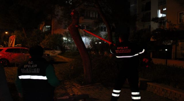 Vatandaşın dikkati devrilen ağaçtan otomobilleri kurtardı