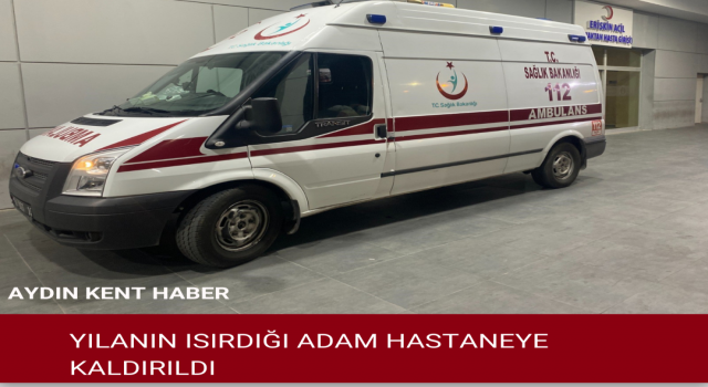 Yılanın ısırdığı adam hastaneye kaldırıldı