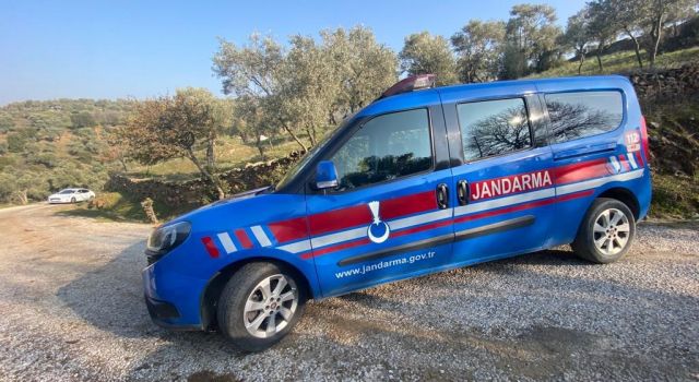 Kaybolan hayvanları jandarma buldu 