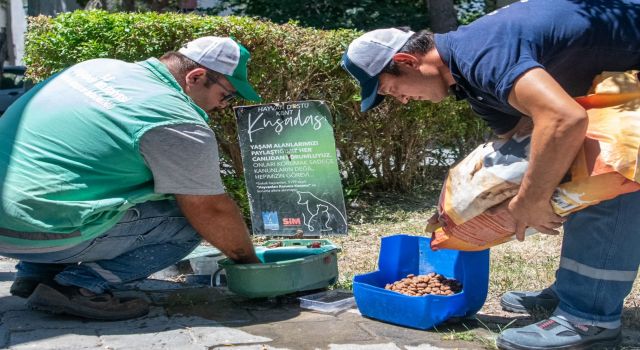 Kuşadası Belediyesi’nden sokak hayvanlarına su ve mama desteği