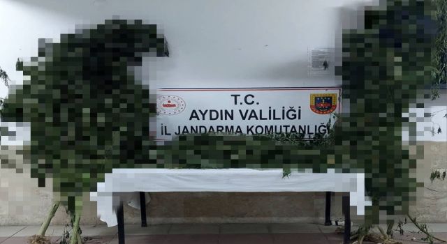 Nazilli’de uyuşturucu operasyonu