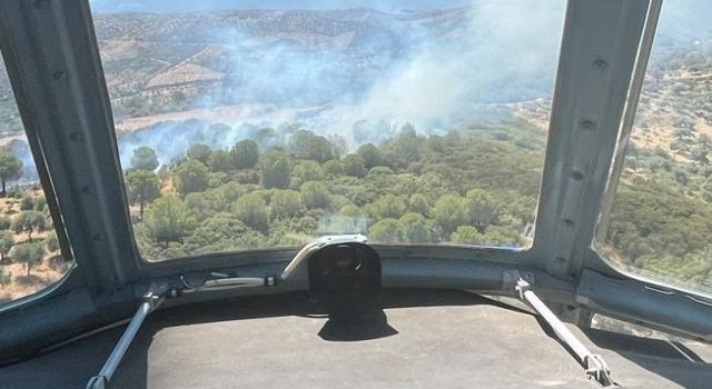 Orman yangını büyümeden söndürüldü