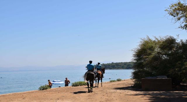 Yasaklı bölgede mangal sefası, jandarmanın radarına takıldı