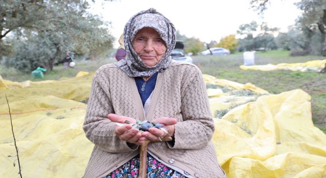 Adı üstünde eski toprak