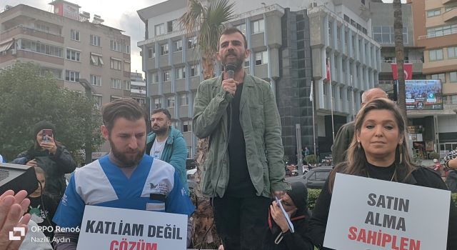 Nazilli'de Hayvanseverler sokak canları için toplandı