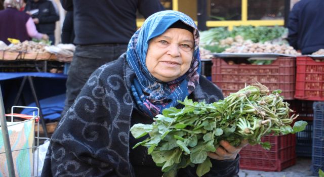 Ege'nin otları kapış kapış gidiyor 