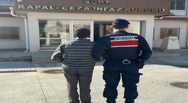 Eşzamanlı “hırsızlık” operasyonunda 20 yakalama