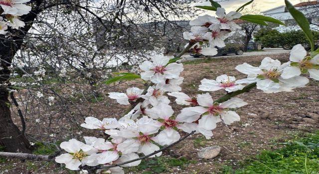 İlk cemre havaya düştü