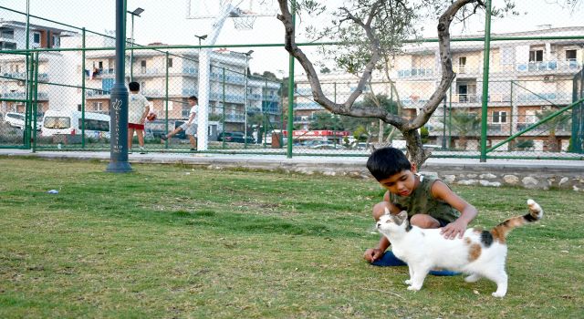 Kuşadası 5 yıl önceye göre 7 kat daha yeşil