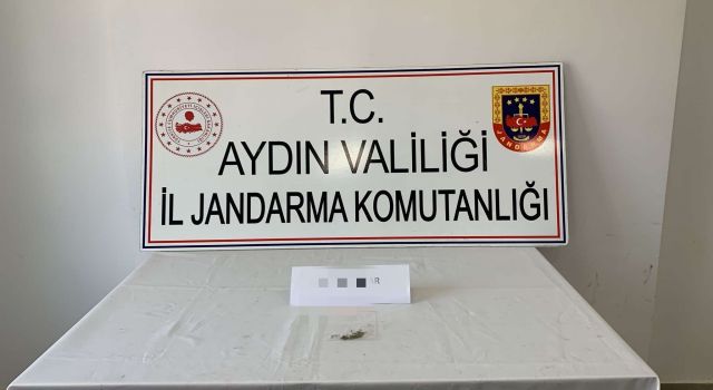 Narkotik köpeği uyuşturucuya geçit vermedi 