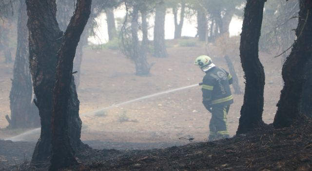 Piknik ateşi yangına yol açtı