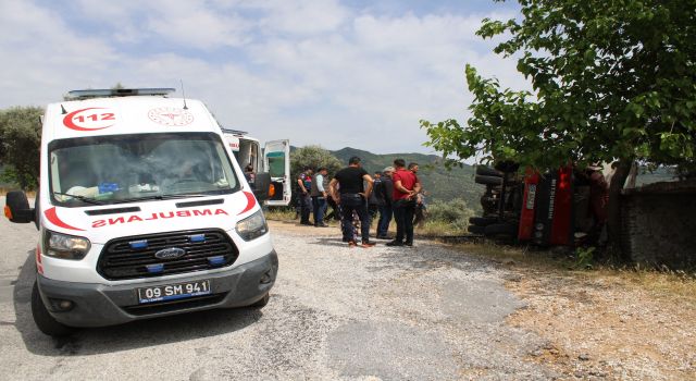 Zeytin ağacı ölümden kurtardı