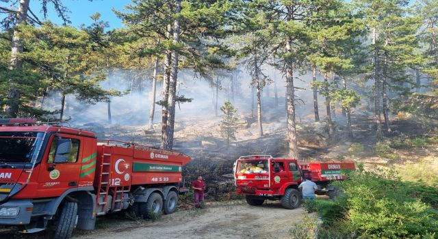 Bozdoğan'daki orman yangını kontrol altına alındı